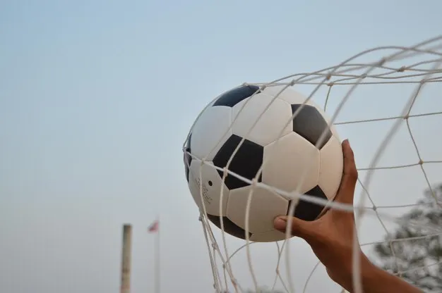 U球体育体育 足球赛事背景